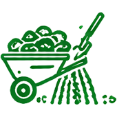service_icon