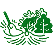 service_icon